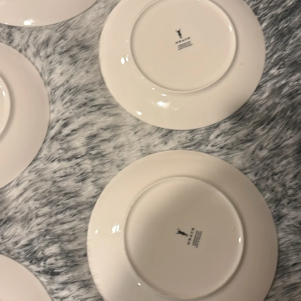 Grace x Anthropologie Set 6 Ceramic Parakeet‎ Themed Salad Dessert Plate